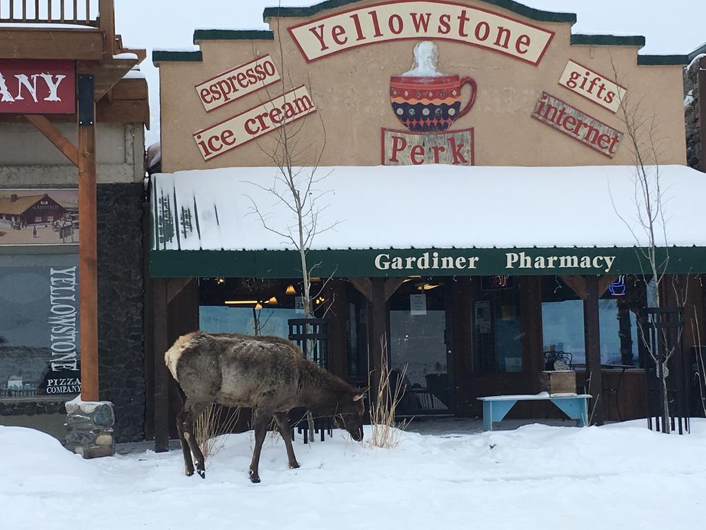 Park Hotel Yellowstone Suites Gardiner Exteriér fotografie